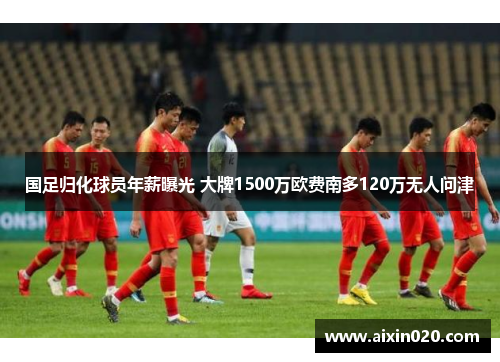 国足归化球员年薪曝光 大牌1500万欧费南多120万无人问津